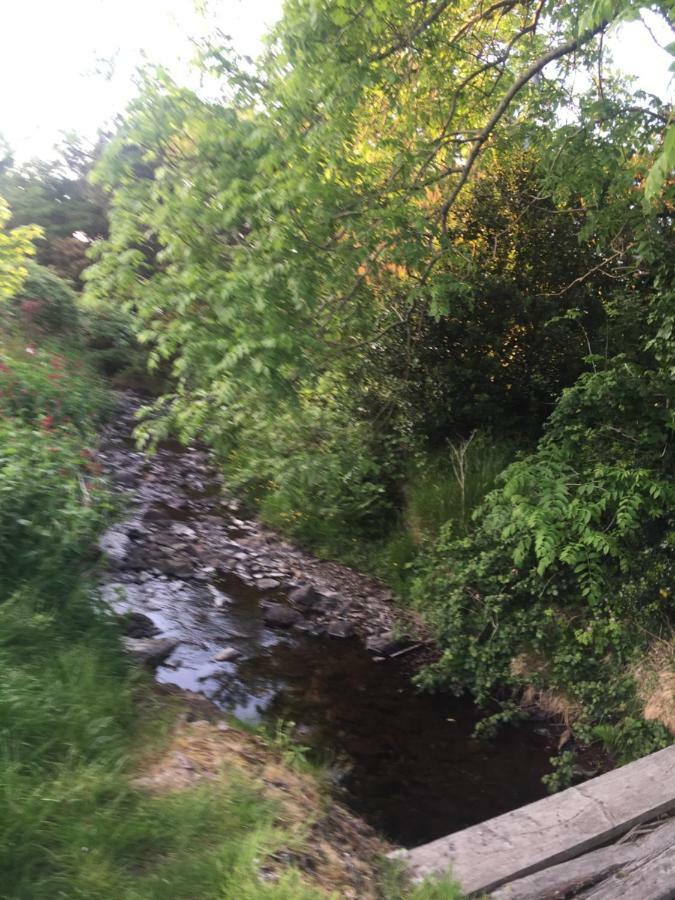 Reek View - Two Bedroom Cottage Westport Exterior foto